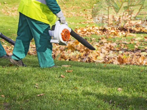 Laubbeseitigung im herbstmz